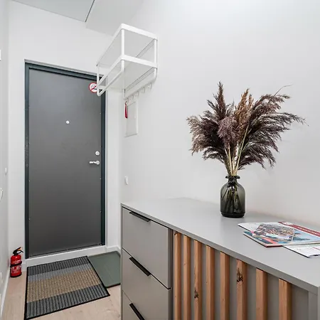 K1a 公寓 维尔纽斯